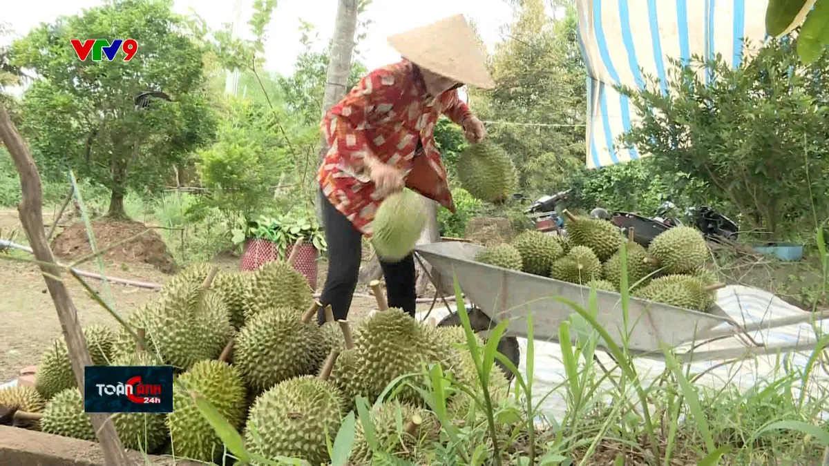 Xuất khẩu rau quả 9 tháng - Con số kỷ lục