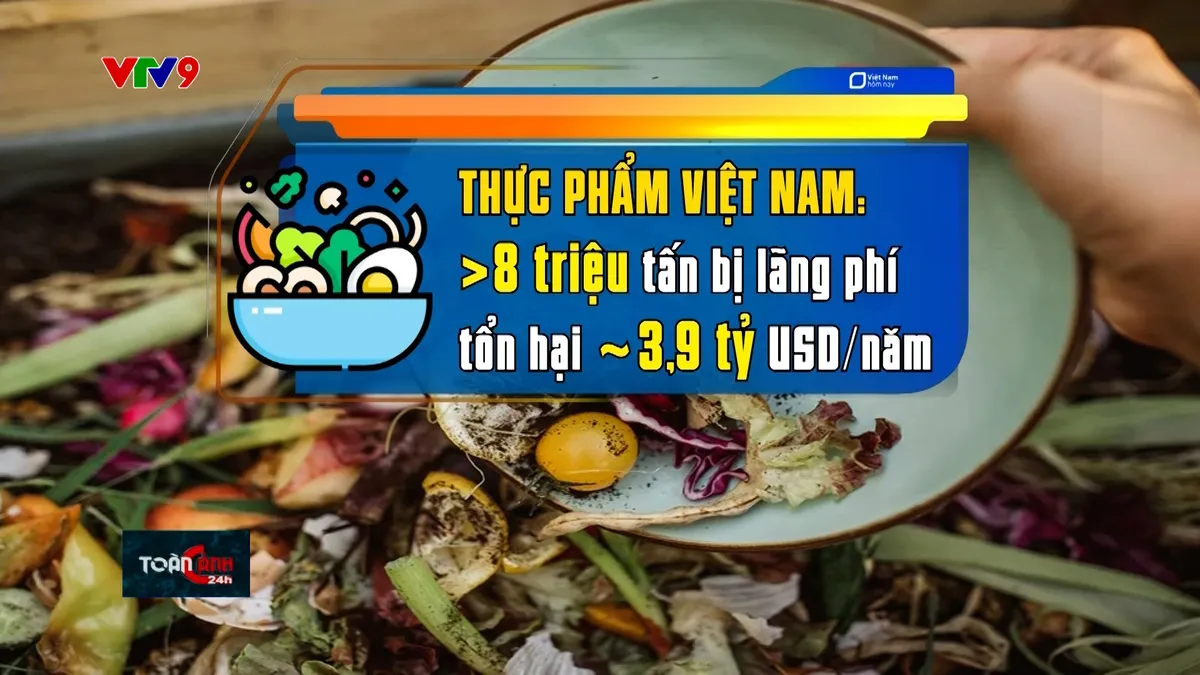 Thời sự: Toàn cảnh 24h (07/11/2024)