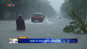 Thời sự: Sáng Phương Nam  (24/9/2024)