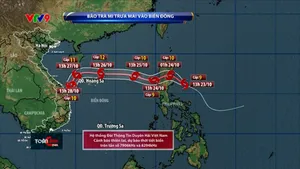 Thời sự: Toàn cảnh 24h (23/10/2024)