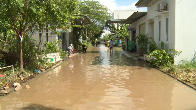 Cần Thơ: Khu dân cư chìm trong biển nước