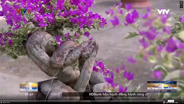 Bông giấy bonsai - ngã rẽ cho làm giàu.