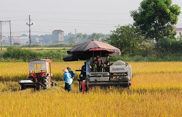 ĐBSCL hưởng lợi khi miễn thuế đất nông nghiệp