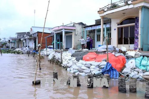 Cần Thơ thông qua chủ trương đầu tư 4 dự án trọng điểm