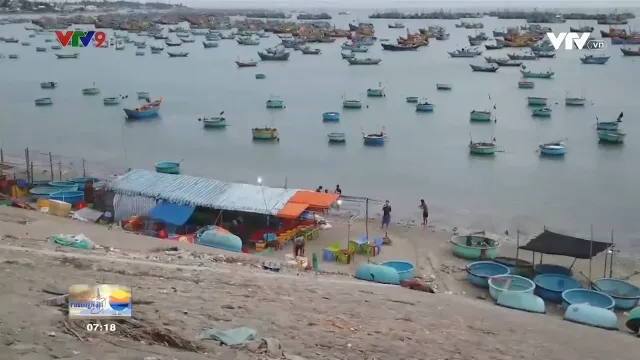 Cảnh báo tình trạng bán hải sản gian lận ở làng chài Mũi Né, Phan Thiết.