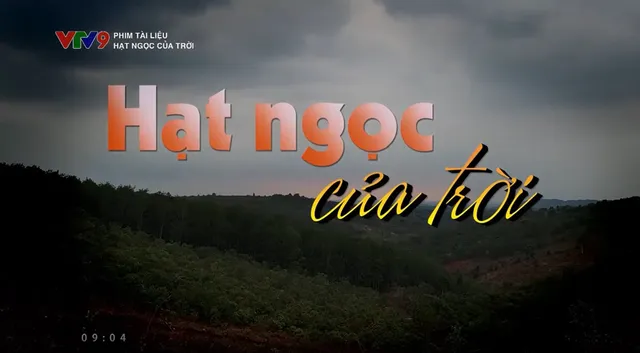 Phim tài liệu: Hạt ngọc của trời