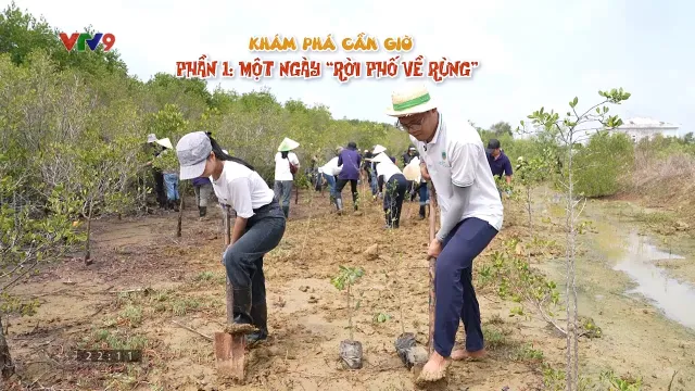 Điểm đến cuối tuần: Khám phá Cần Giờ - một ngày rời phố về rừng