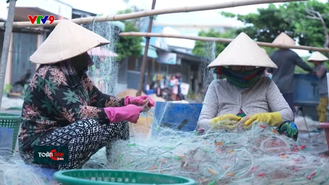 Vui buồn cùng lưới ghẹ nơi cửa biển