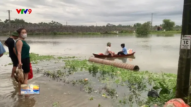 Thời sự: Sáng Phương Nam  (17/9/2024)