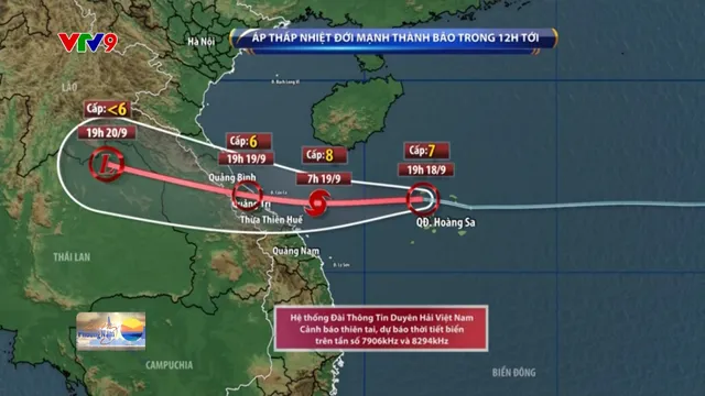 Thời sự: Sáng Phương Nam (19/9/2024)