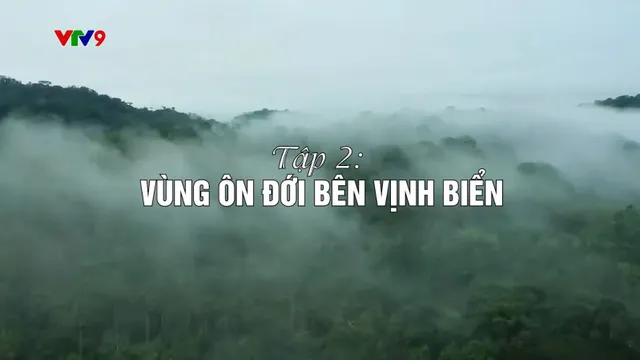 Dưới tán cây rừng (tập 2)