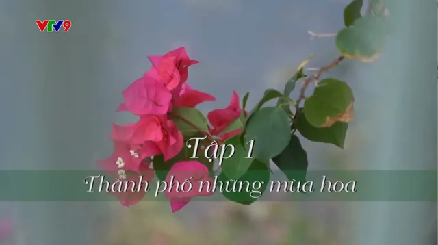 Ký sự Chuyện đời của phố (tập 1)