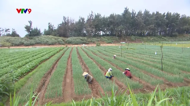 Ký sự Về quê biển Trà Vinh (tập 4)