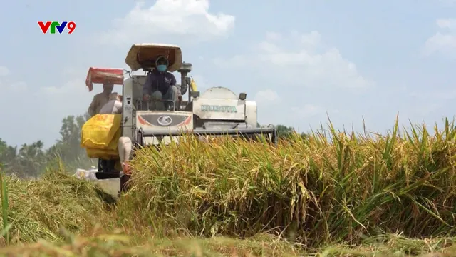 Tôn vinh 63 nông dân xuất sắc năm 2024