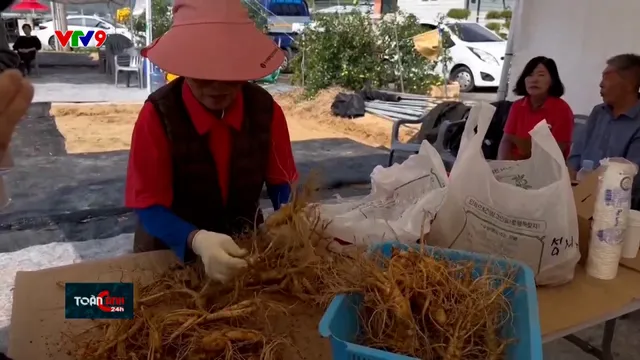 Hàn Quốc: Lễ hội nhân sâm