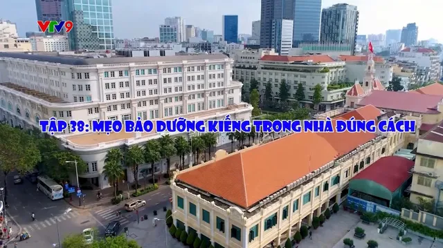 Chuyện Phố Phường_Tập 38