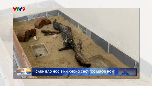 Cảnh báo học sinh không chơi "ốc mượn hồn"