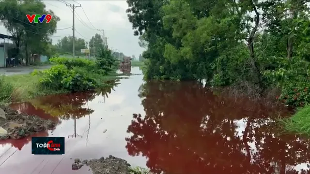 Kênh nước tại TP. Hồ Chí Minh chuyển màu đỏ