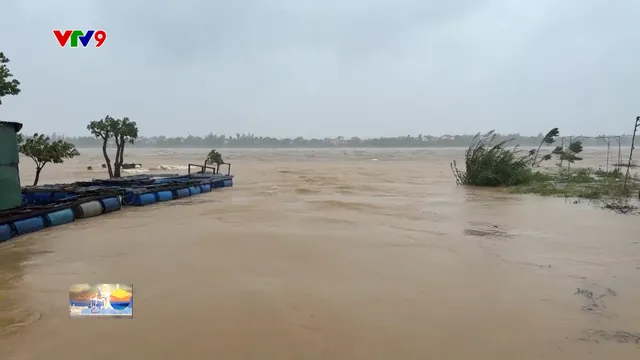 Thời sự: Sáng Phương Nam (31/10/2024)