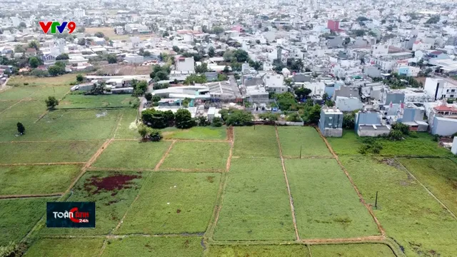 TP. Hồ Chí Minh cởi trói tách thửa