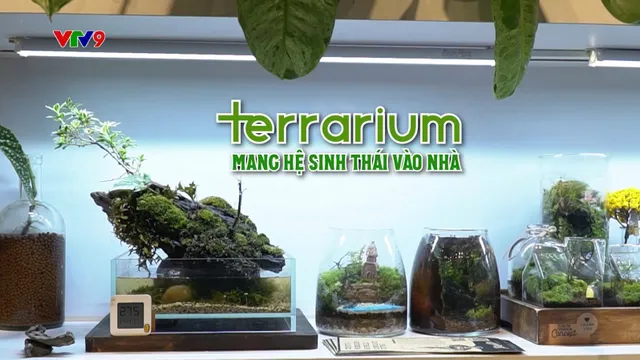 Điểm Đến Cuối Tuần: Terrarium mang hệ sinh thái vào nhà