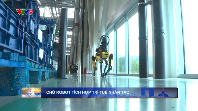 Chó robot tích hợp trí tuệ nhân tạo