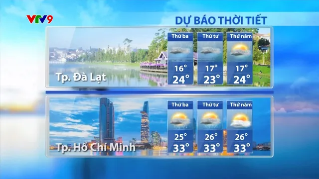 Dự báo thời tiết sáng (12/11/2024)