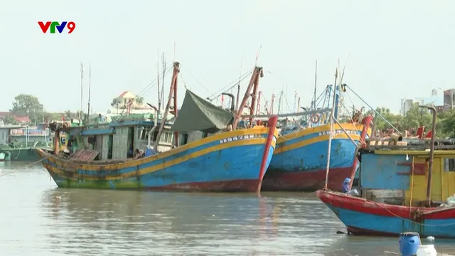 Bà Rịa - Vũng Tàu: Chủ động ứng phó với bão dồn dập cuối năm