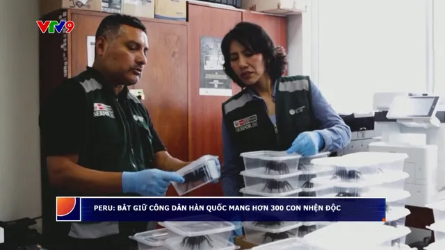 Peru bắt giữ công dân Hàn Quốc mang hơn 300 con nhện độc