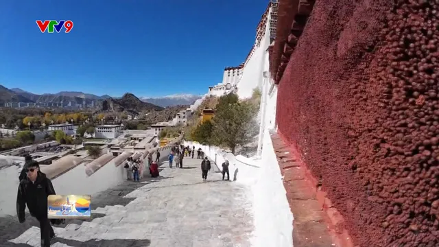 Bảo tồn cung điện Potala bằng mật ong