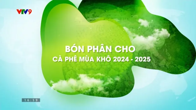 Canh tác thông minh - Số 46: Bón cây cho cà phê mùa khô 2024 - 2025