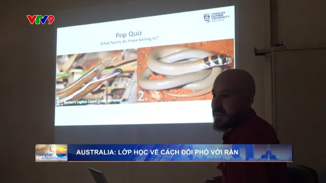 Australia: Lớp học về cách đối phó với rắn