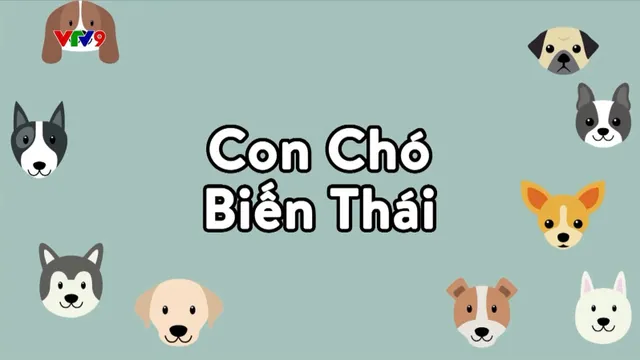 Cười vui lắm - Mùa 1 (tập 248)